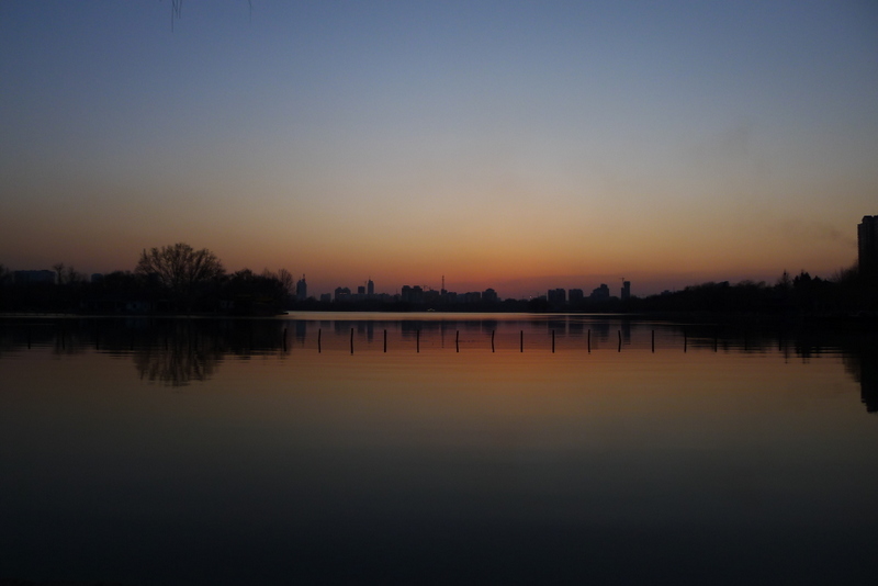 P1000780.JPG