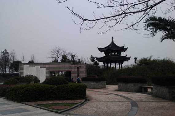 CameraZOOM-20120310150637939.jpg