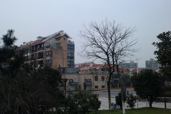 CameraZOOM-20120310151014570.jpg
