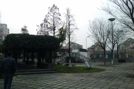 CameraZOOM-20120310151503910.jpg