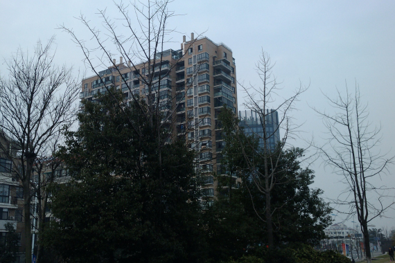 CameraZOOM-20120310152639071.jpg