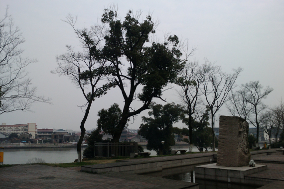 CameraZOOM-20120310153053677.jpg
