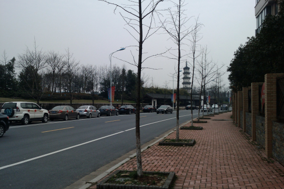 CameraZOOM-20120310153402552.jpg