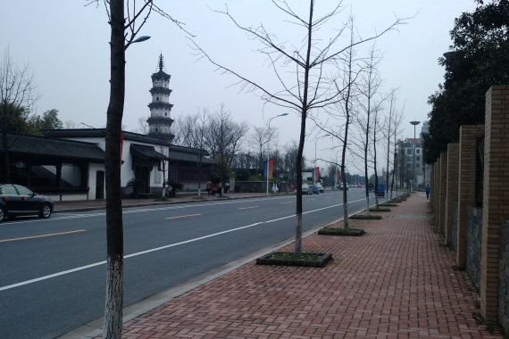 CameraZOOM-20120310153522870.jpg