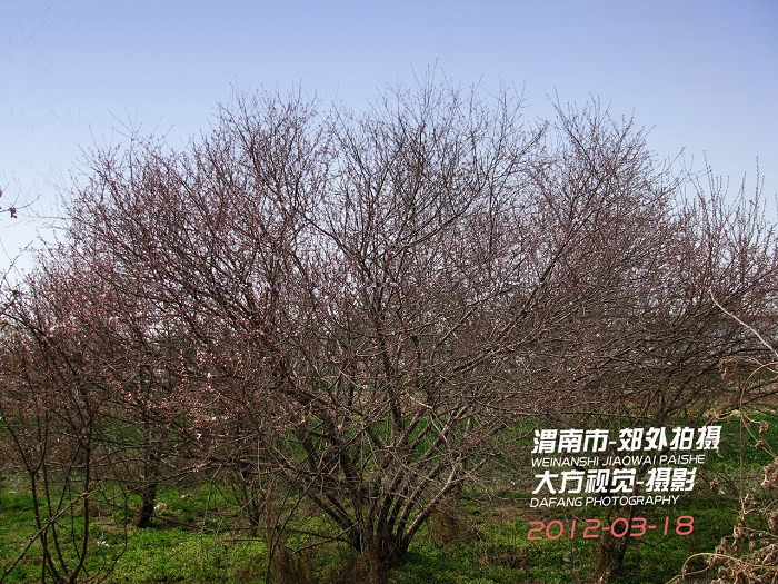 01.jpg