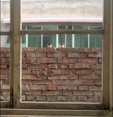 111.jpg