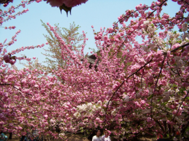 100_3516.JPG