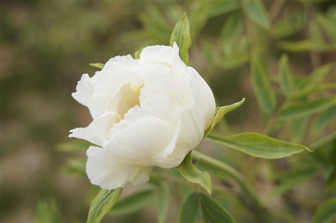 65.jpg