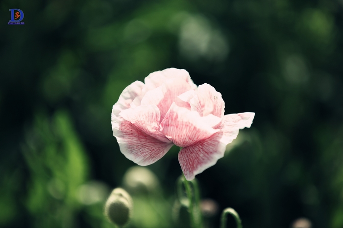 048_����.jpg