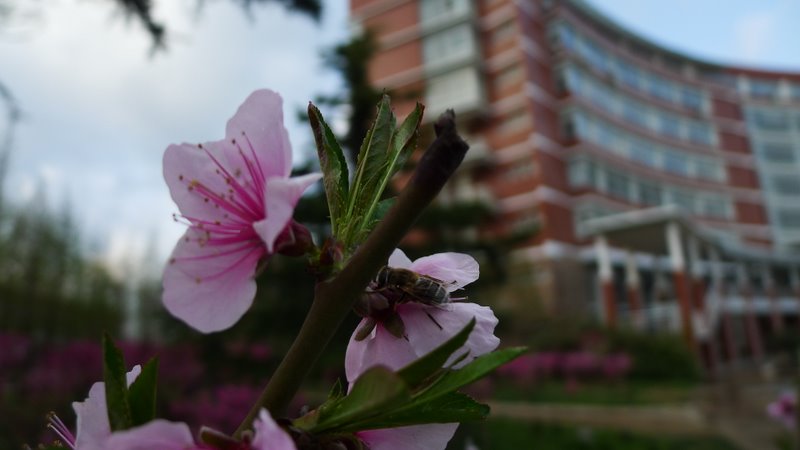 P1000896.JPG