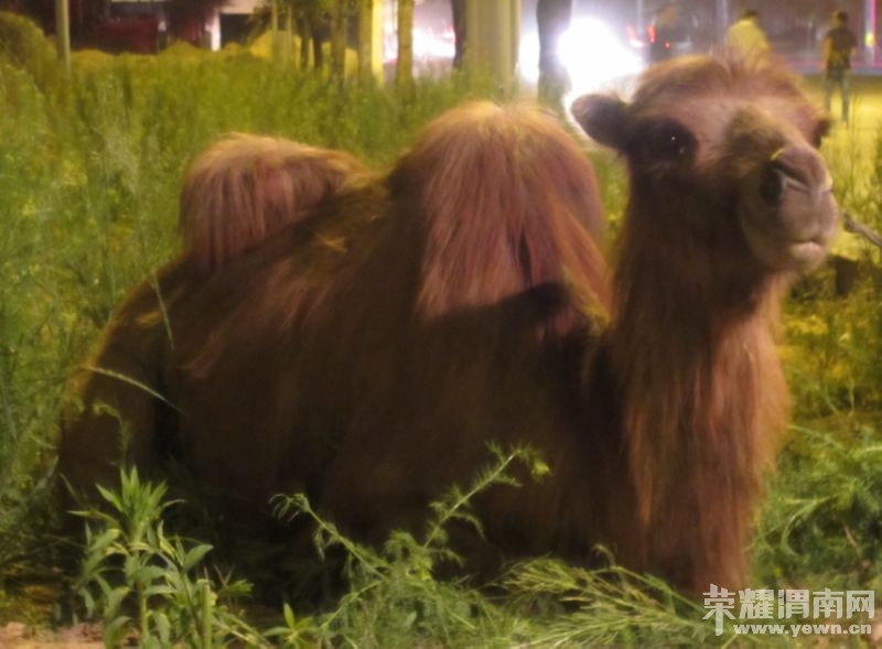 QQ��ͼ20120429235919000.jpg