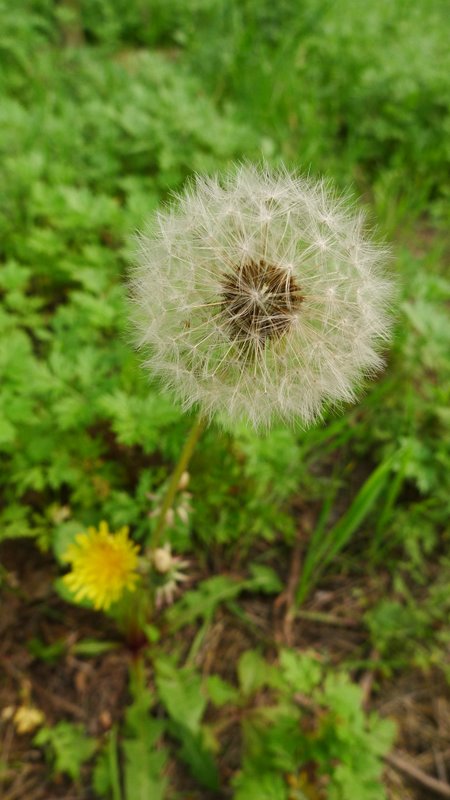 P1010042-1.JPG