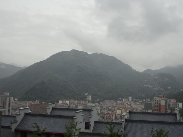 DSC00100.jpg