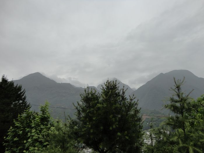 DSC00103.jpg