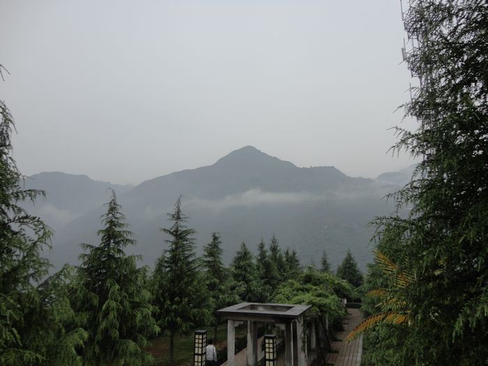 DSC00118.jpg