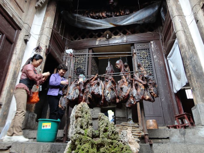 DSC00303.jpg