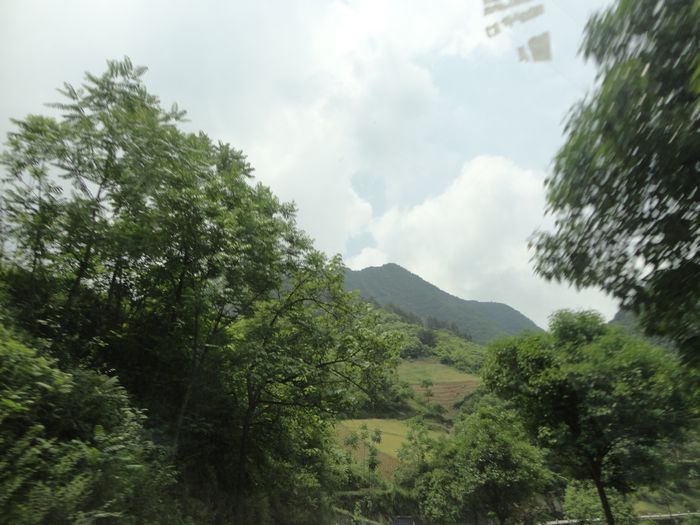 DSC00314.jpg