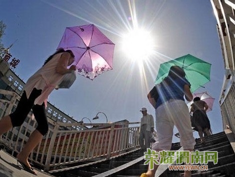 20100706091718915.jpg