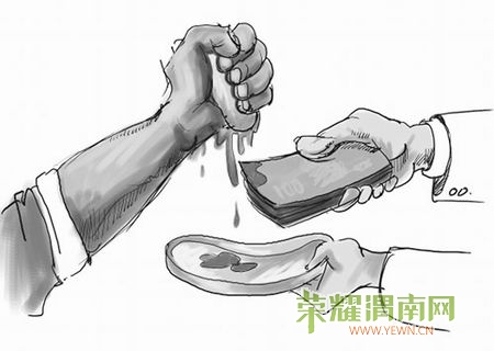 xin_4103072507398432110217.jpg