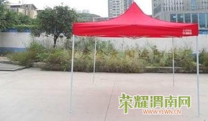 zhangp.jpg