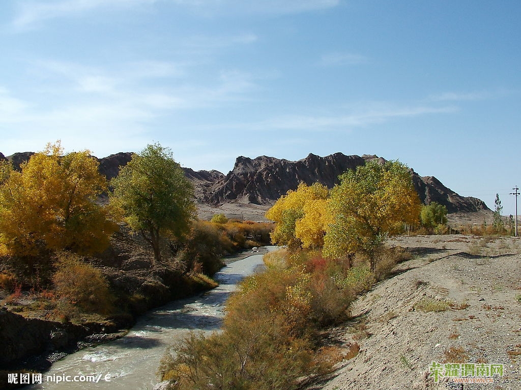 200852922422162_2.jpg