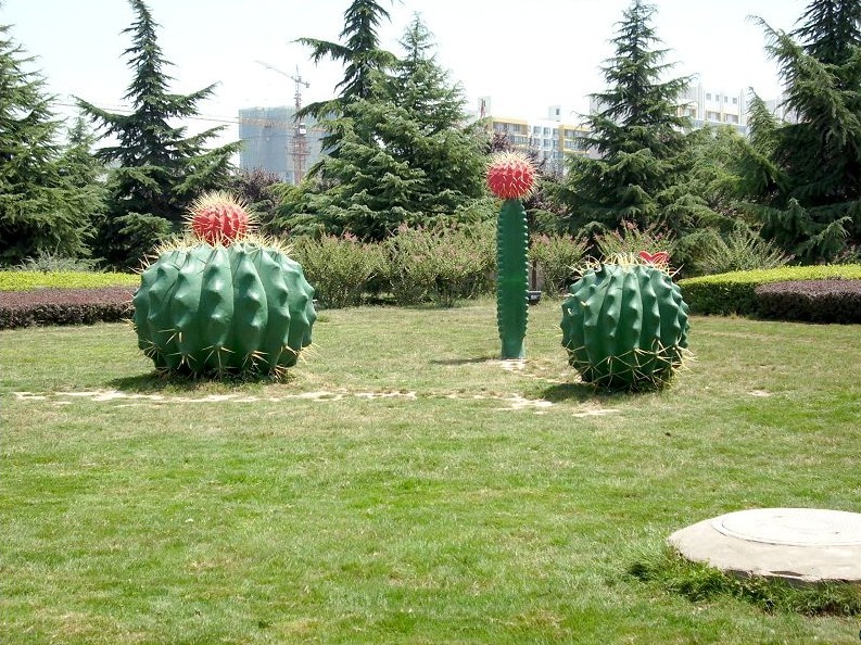 47.jpg