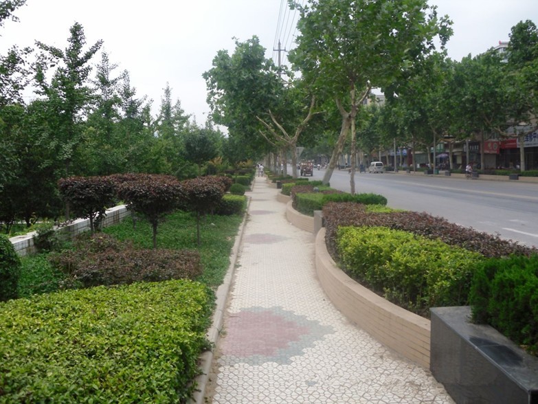 65.jpg