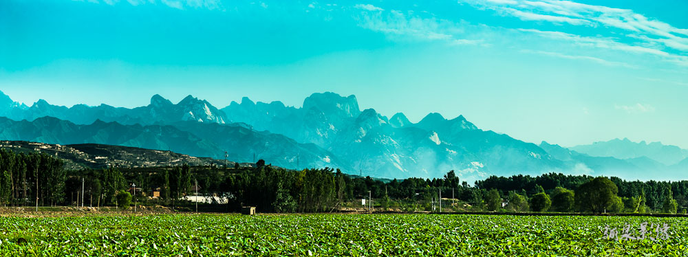 _IGP0710.jpg