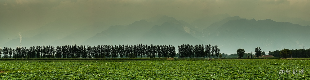 _IGP0919.jpg