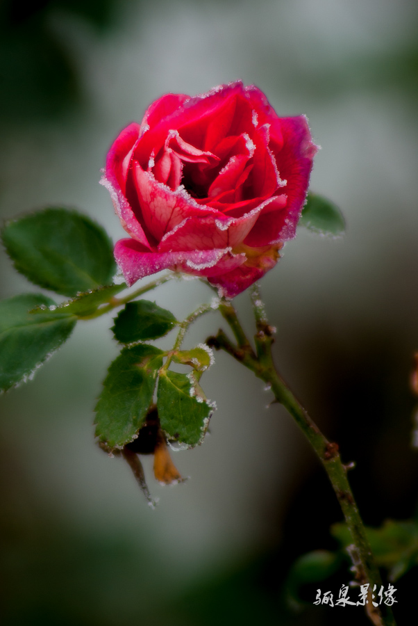 IMGP0396.jpg