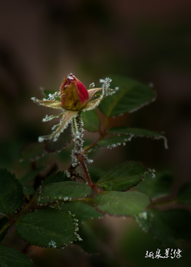 IMGP0397.jpg