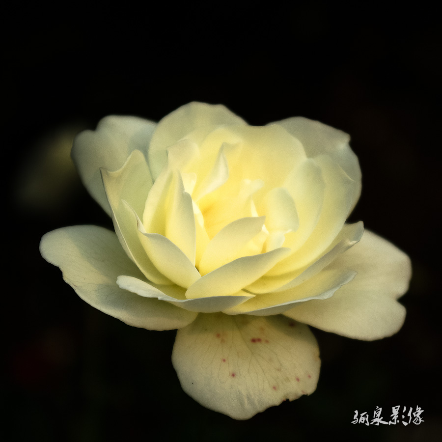 IMGP7052.jpg