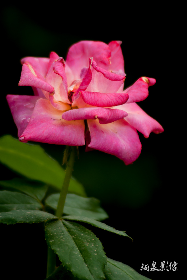 IMGP9467.jpg