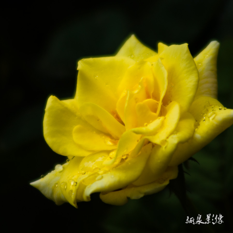 IMGP9690.jpg