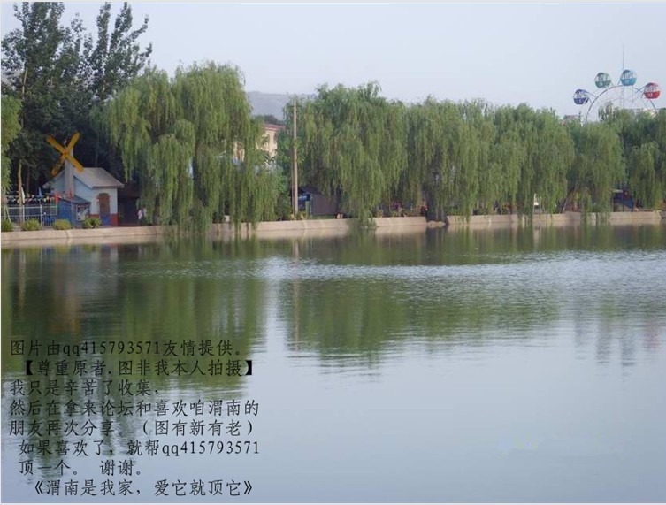 5qq415793571.jpg