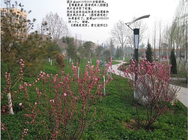31qq415793571.jpg