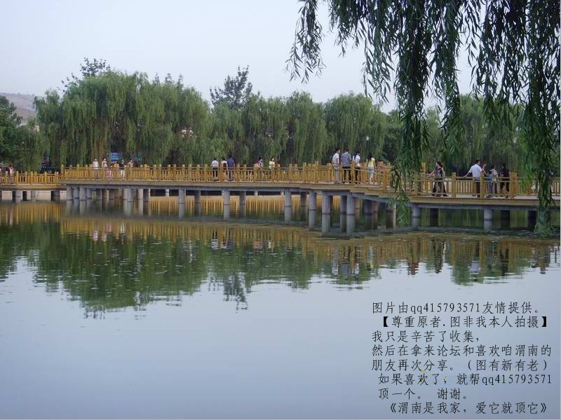 38qq415793571.jpg