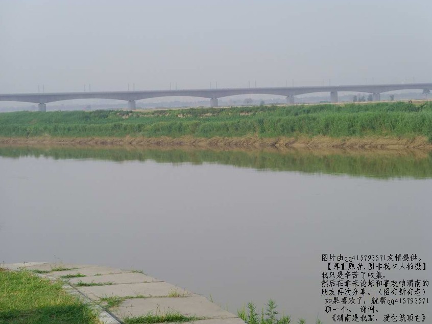 41qq415793571.jpg