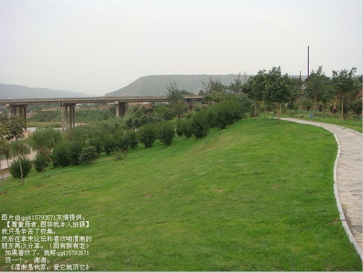 61qq415793571.jpg