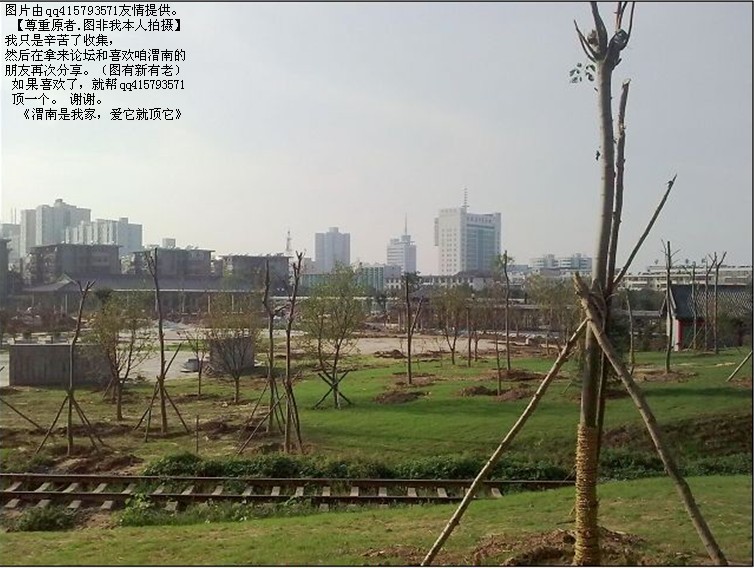 62qq415793571.jpg