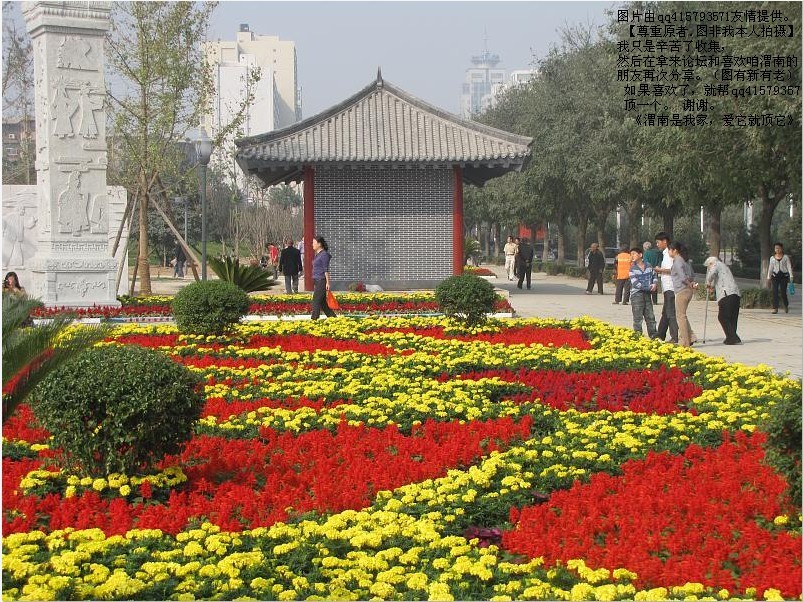63qq415793571.jpg