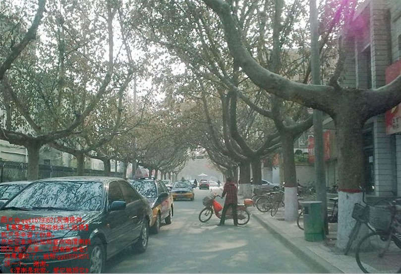 70qq415793571.jpg