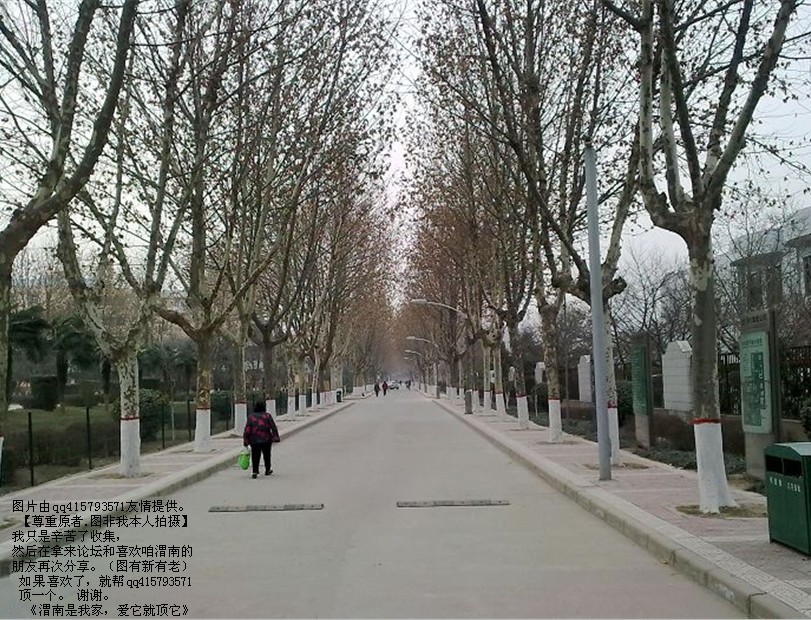 73qq415793571.jpg