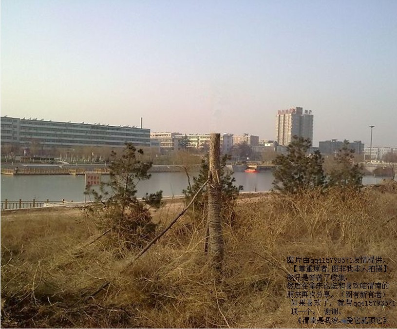 80qq415793571.jpg