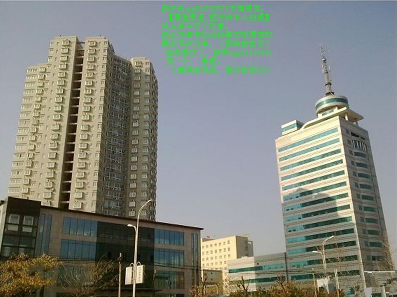 88qq415793571.jpg
