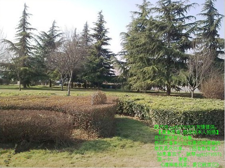 103qq415793571.jpg