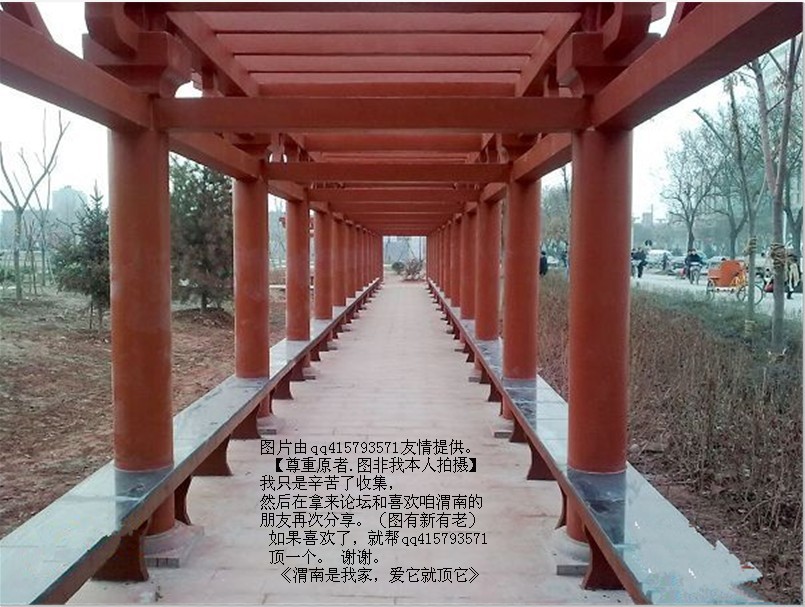 109qq415793571.jpg