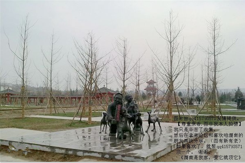 110qq415793571.jpg