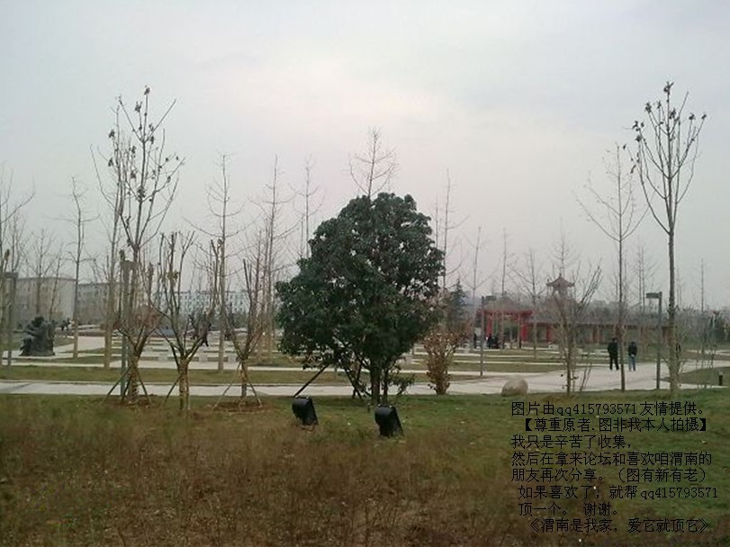 113qq415793571.jpg