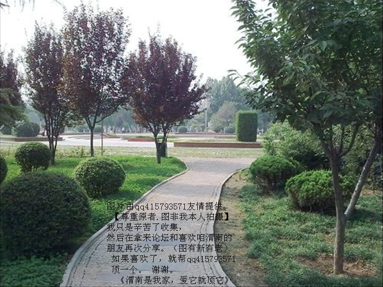 117qq415793571.jpg